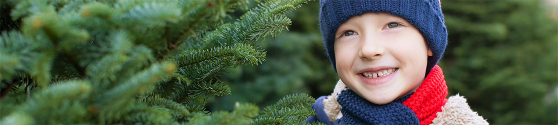 Kleiner Junge beim Weihnachtsbaumkauf